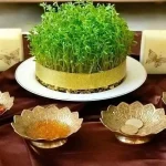 راهنمای کاشت انواع سبزه برای سفره عید + سریع ترین سبزه عید