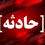 «تام» با خالکوبی گربه معروف؛ سارق ناشی‌ای که همیشه گیر می‌افتد