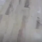 ببینید؛ حمله افراطی‌ها به یک کنسرت در ادلب سوریه