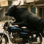 سرقت یک موتور توسط یک گاو در هند! + ویدئو