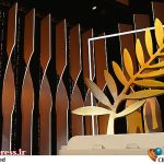 جایزه اصلی «نوعی نگاه کن» به شیلی رفت – اخبار سینمای ایران و جهان