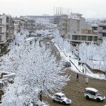 این خیابانِ پایتخت به خاطر خرمی، گردشگاه شاهزادگان قاجار بود