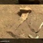 ادعای جنجالی مأمور سابق سیا / در مریخ استخوان دیدم / عکس