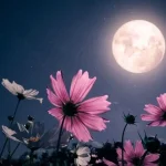 تفال به حافظ پنجشنبه 1 خردادماه ۱۴۰۴؛ هزار دشمنم ار می‌کنند قصد هلاک….