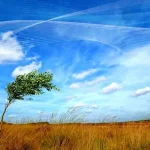 تفال به حافظ پنجشنبه 8 خرداد ۱۴۰۴؛ سال‌ها دفتر ما در گرو صهبا بود…