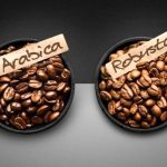 بهترین قهوه برای بیدار ماندن کدام است؟