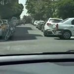 رواج شغل عجیب و غریب در تهران + ویدئو