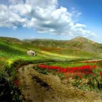 5 روستای شاندیز مشهد برای پیک‌نیک و طبیعت‌گردی