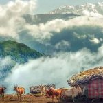 ۵ دهکده بهشتی کلاردشت برای کمپینک در طبیعتی خنک