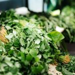 خوشمزه بپزید؛ ترکیبات اصلی سبزی قورمه شمالی
