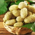 روش نگهداری توت سفید تازه؛ در یخچال و فریزر