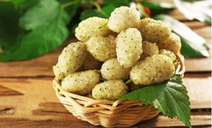 روش نگهداری توت سفید تازه؛ در یخچال و فریزر