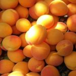 6 روش سریع و طبیعی برای رسیده کردن زردآلو کال
