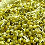 بمب ویتامین و پروتئین را بشناسید